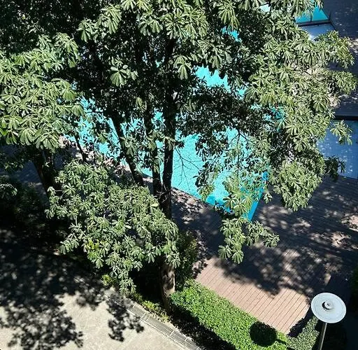 Modern Oasis: Pool + Netflix *